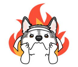 siberian husky @ SURFBORDER sticker #11898671