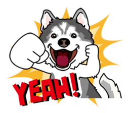 siberian husky @ SURFBORDER sticker #11898673