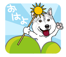 siberian husky @ SURFBORDER sticker #11898675