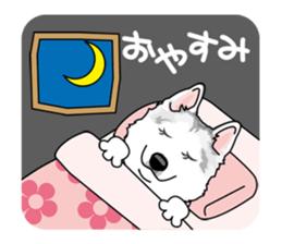 siberian husky @ SURFBORDER sticker #11898676