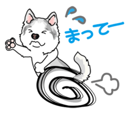 siberian husky @ SURFBORDER sticker #11898680