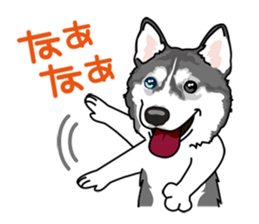 siberian husky @ SURFBORDER sticker #11898681