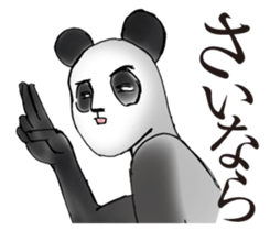 Everyday of pandas sticker #11902860