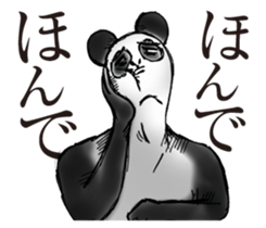 Everyday of pandas sticker #11902875