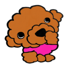 happy Life dog sticker #11903881