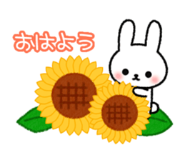 Frequently used message Rabbit - 7 sticker #11904299