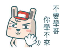 Poka Family- Chinese buzzwords sticker #11904486