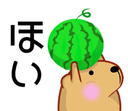 Kyapibara 9 sticker #11904863