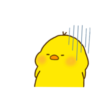 hiyoko no pisuke sticker #11908373