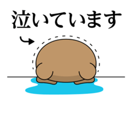 Everyday bear DX sticker #11908675