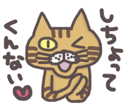An "Alley Cat" with Tagawa direct(vol.3) sticker #11909510