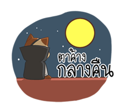 Dark night sticker #11910828