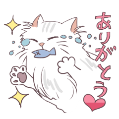 Chinchilla Silver cat Sticker