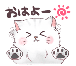 Chinchilla Silver cat Sticker sticker #11911190
