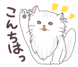 Chinchilla Silver cat Sticker sticker #11911191