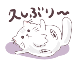 Chinchilla Silver cat Sticker sticker #11911195