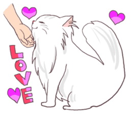 Chinchilla Silver cat Sticker sticker #11911201