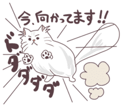 Chinchilla Silver cat Sticker sticker #11911203