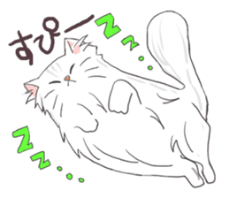 Chinchilla Silver cat Sticker sticker #11911205