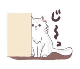 Chinchilla Silver cat Sticker sticker #11911207