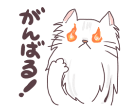 Chinchilla Silver cat Sticker sticker #11911209