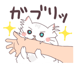 Chinchilla Silver cat Sticker sticker #11911212