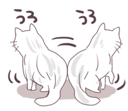 Chinchilla Silver cat Sticker sticker #11911218