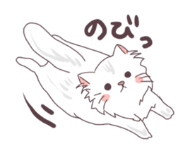 Chinchilla Silver cat Sticker sticker #11911221
