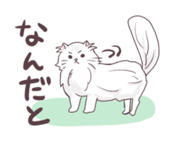 Chinchilla Silver cat Sticker sticker #11911222