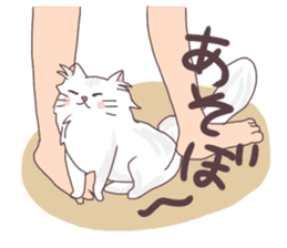 Chinchilla Silver cat Sticker sticker #11911224