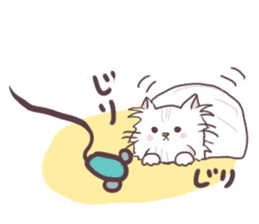 Chinchilla Silver cat Sticker sticker #11911225