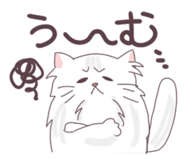 Chinchilla Silver cat Sticker sticker #11911227