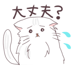 Chinchilla Silver cat Sticker sticker #11911229