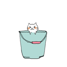 The kitten NEKOKICHI sticker #11911813