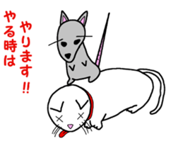 haru-maki sticker #11914013