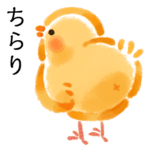 Many chickens in a yard sticker #11914639