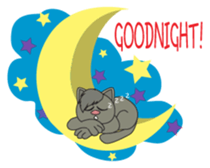 CATNEKO sticker #11915085