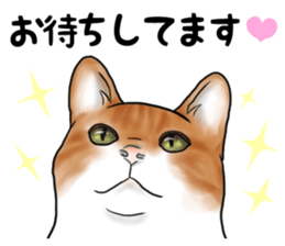Servant of cat sticker #11917434