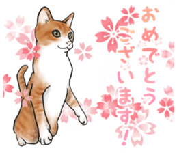 Servant of cat sticker #11917446