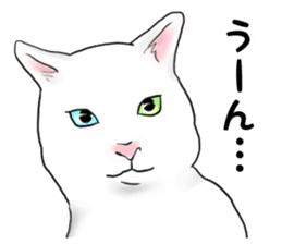 Servant of cat sticker #11917450