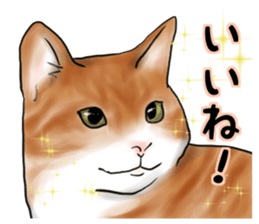 Servant of cat sticker #11917451