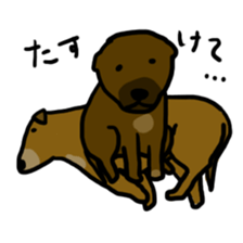 Bow-wow's sticker #11918762