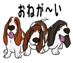 Basset hound 9(dog) sticker #11919714