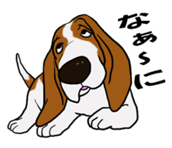 Basset hound 9(dog) sticker #11919726