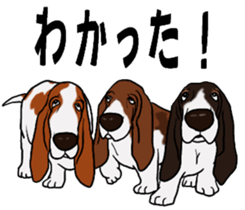 Basset hound 9(dog) sticker #11919739