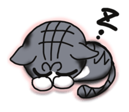 Daily cat SABATORA! sticker #11920517