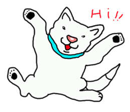 I just a white dog sticker #11922662