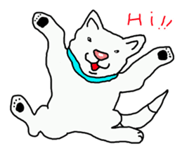 I just a white dog sticker #11922662