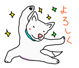 I just a white dog sticker #11922663