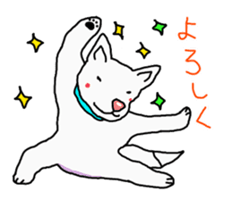 I just a white dog sticker #11922663
